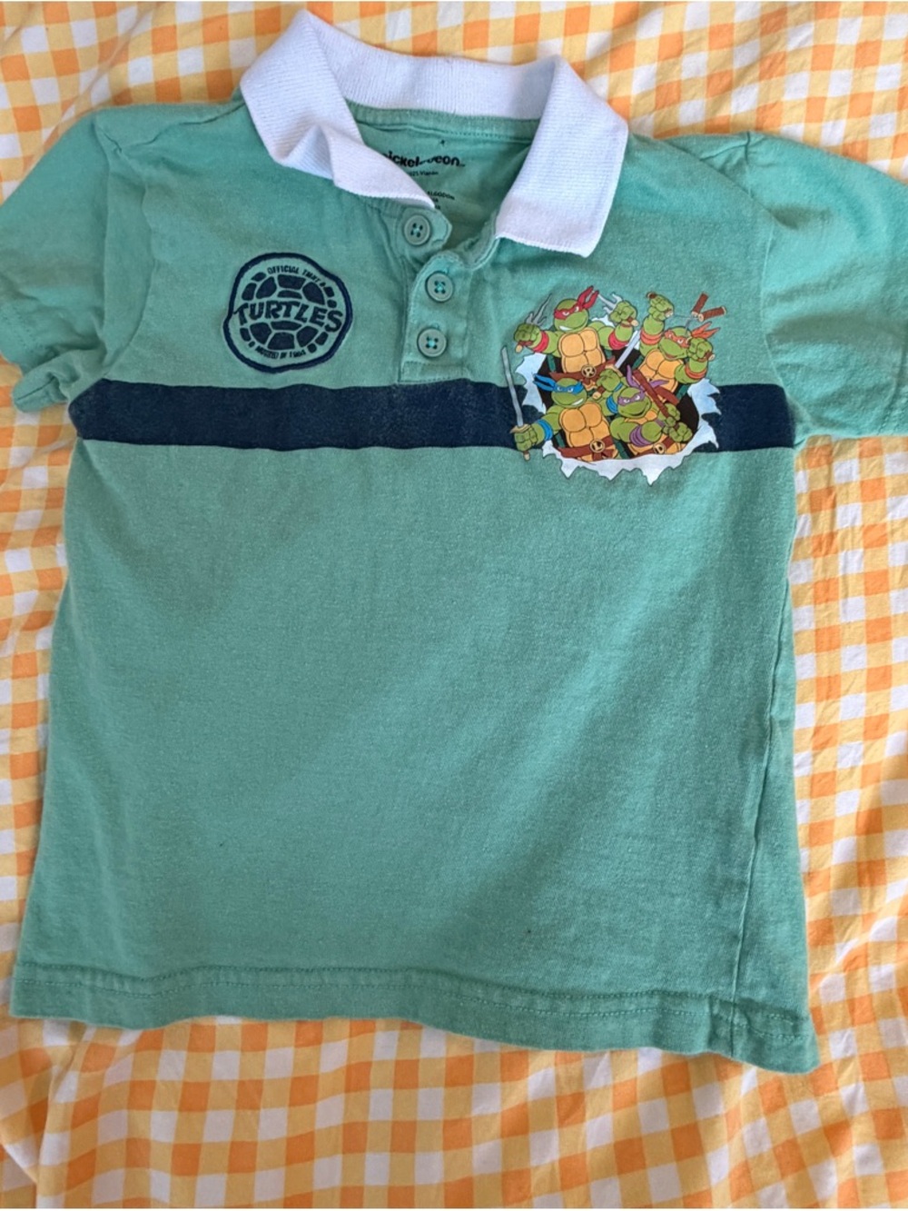 Teenage Mutant Ninja Turtles Green Polo Shirt for Kids - TMNT Graphic